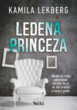MOJA PRVA BIBLIOTEKA BAJKE SASSI