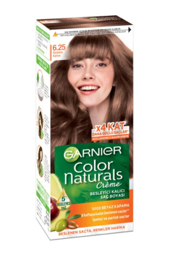 GARNIER FARBA ZA KOSU 6.25 CHESNUT COFFEE